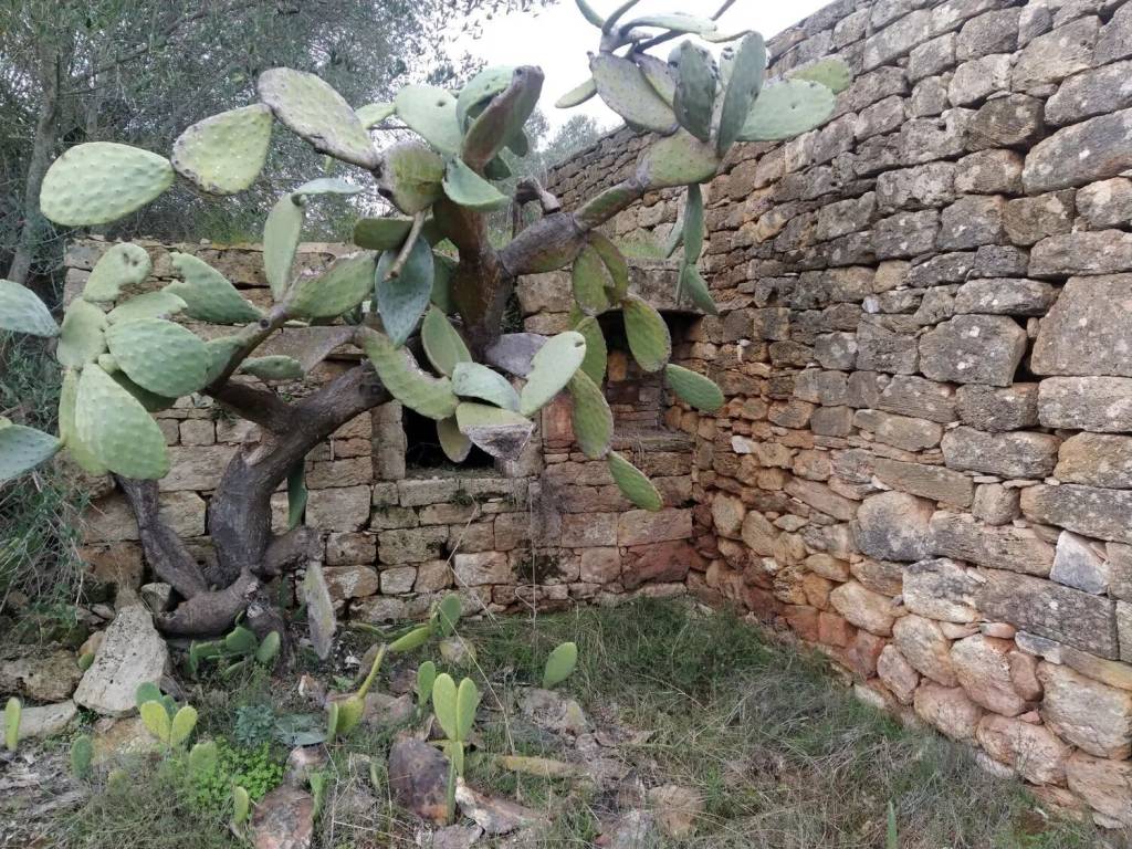 Rustico / casale a Villa castelli in Via Francavilla S.N.C. - Foto 2