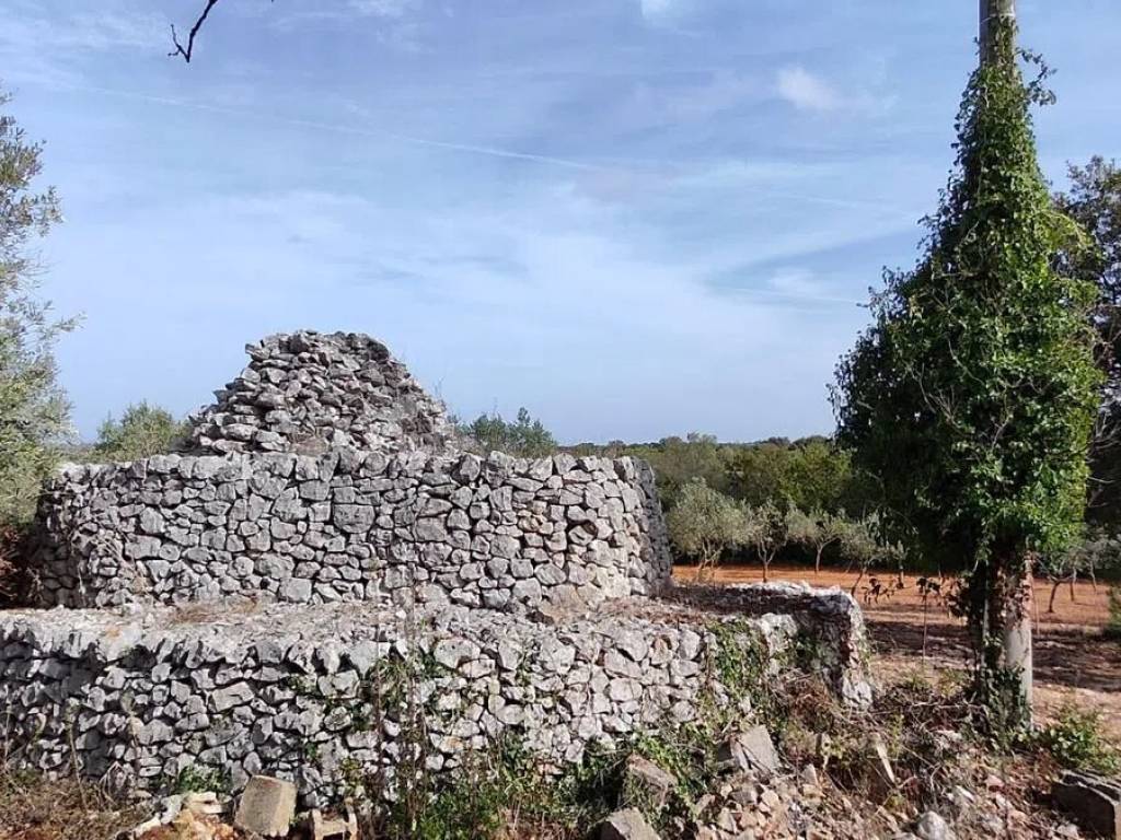 Rustico / casale a Ceglie messapica in Sp 65 S.N.C. - Foto 3
