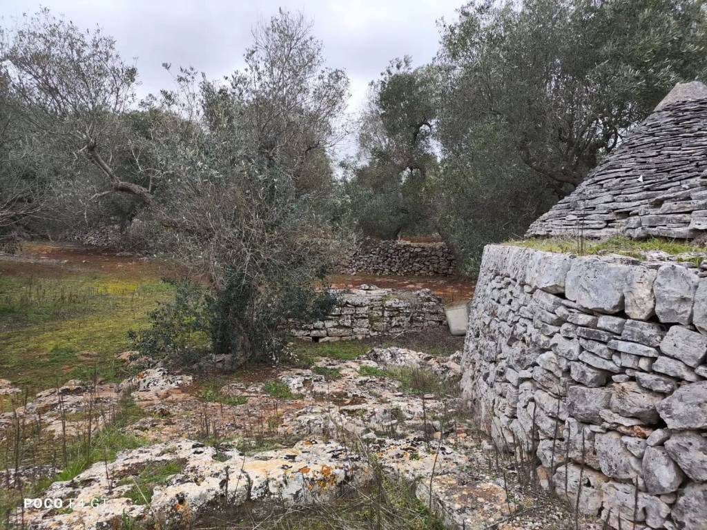 Rustico / casale a Ceglie messapica in Contrada Fedele Piccolo, 2 - Foto 5