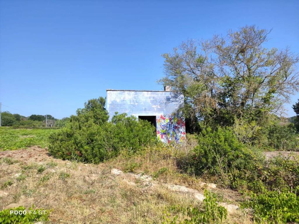 Rustico / casale a Ceglie messapica in Strada Provinciale 16 S.N.C. - Foto 2
