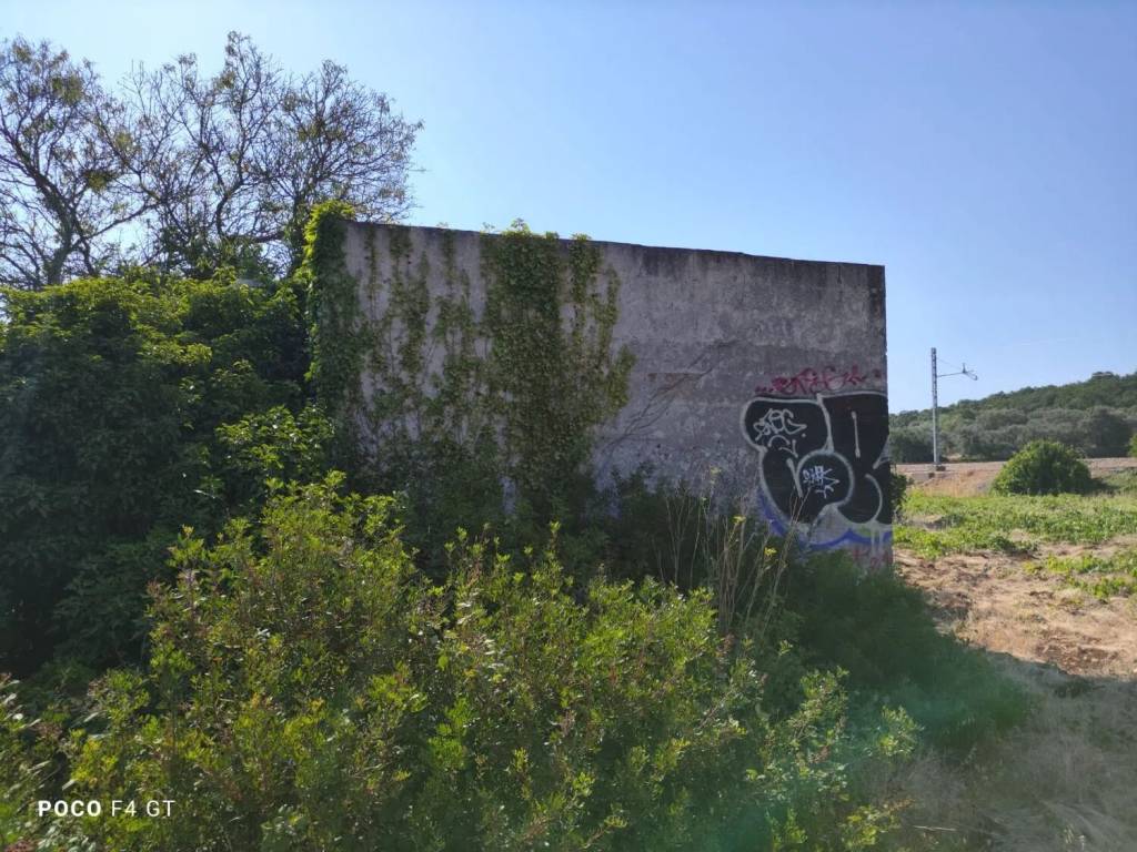 Rustico / casale a Ceglie messapica in Strada Provinciale 16 S.N.C. - Foto 5