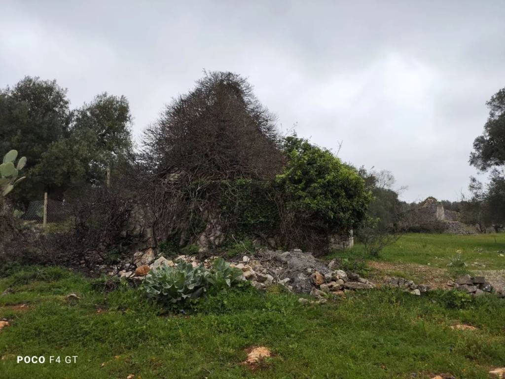 Rustico / casale a Ceglie messapica in Selva No Number - Foto 3