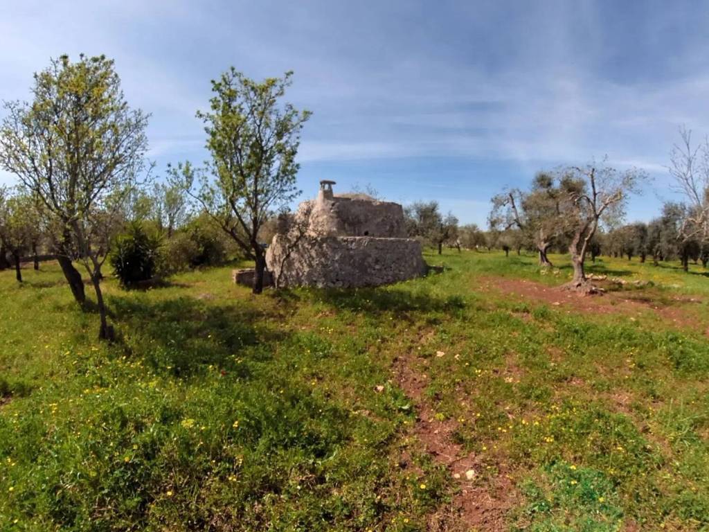 Rustico / casale a Ostuni in Boccadoro S.N.C. - Foto 5