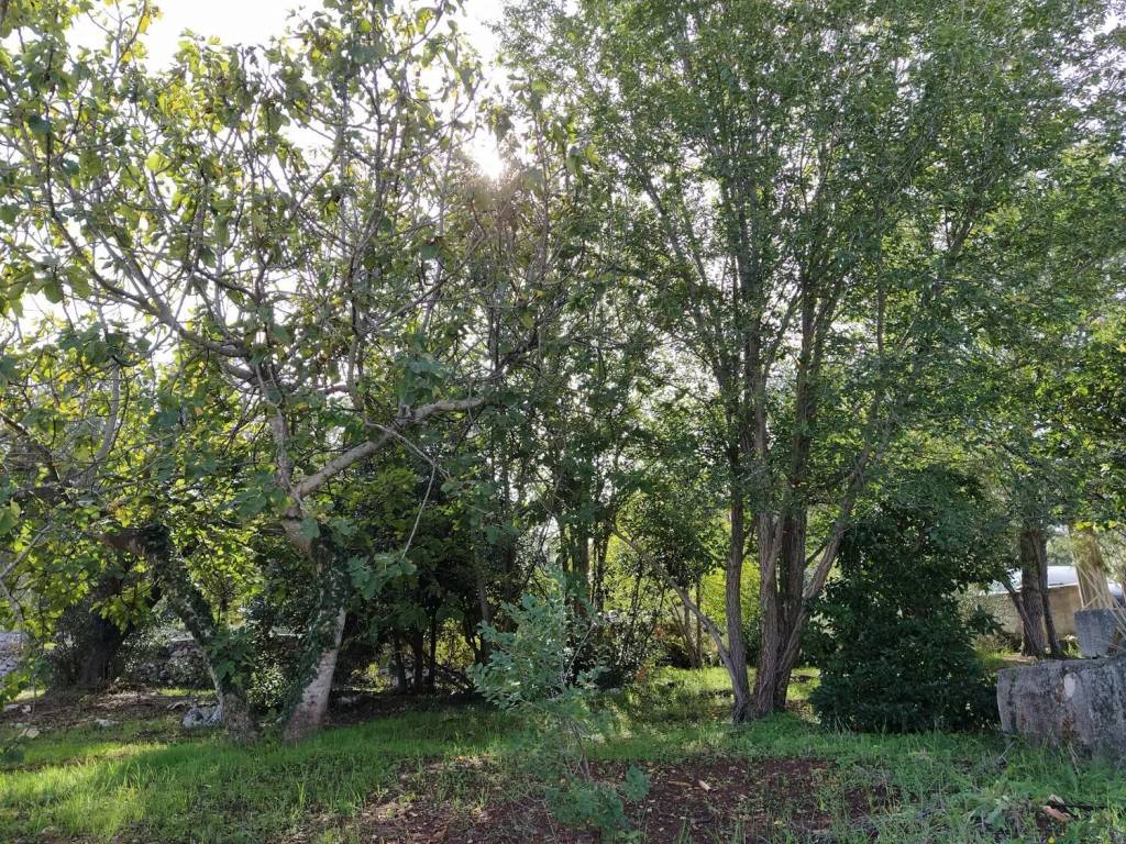 Rustico / casale a Ceglie messapica in Contrada Montevecchio S.N.C. - Foto 5