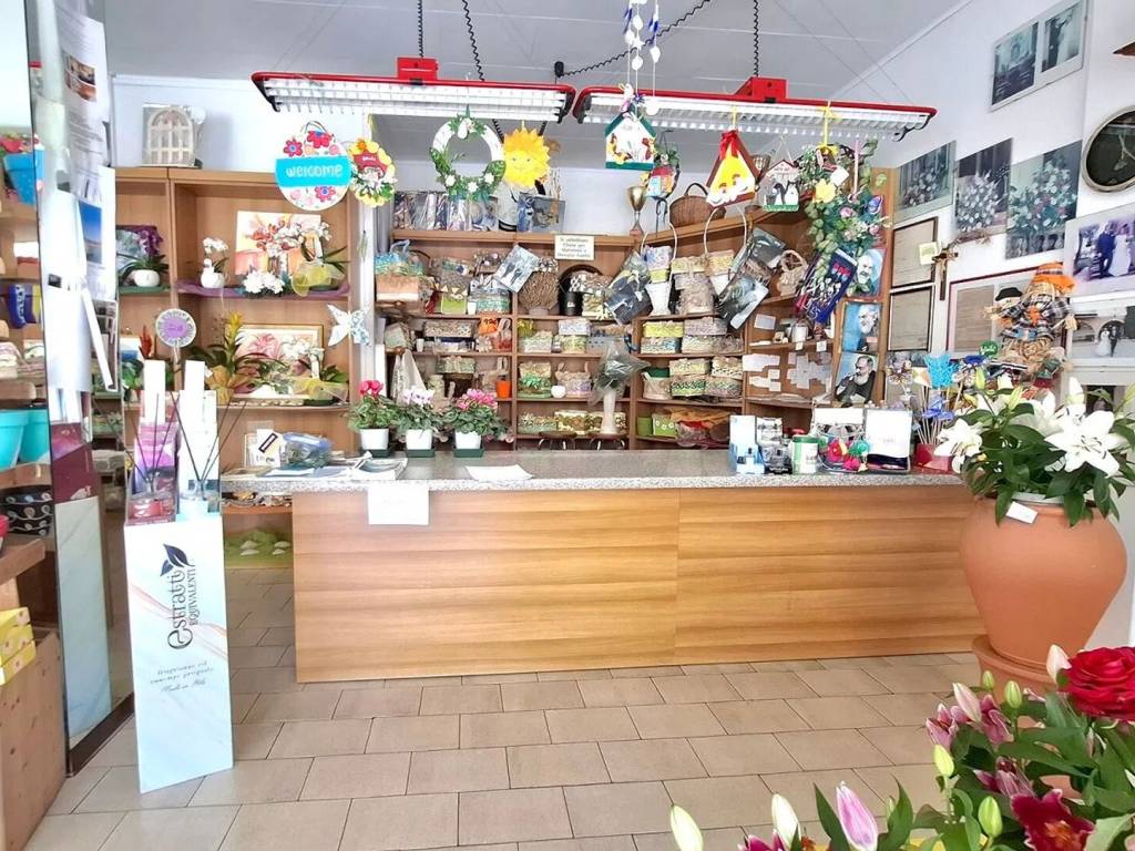 Immobile a Treviso in Strada Di Canizzano, 10 - Foto 2