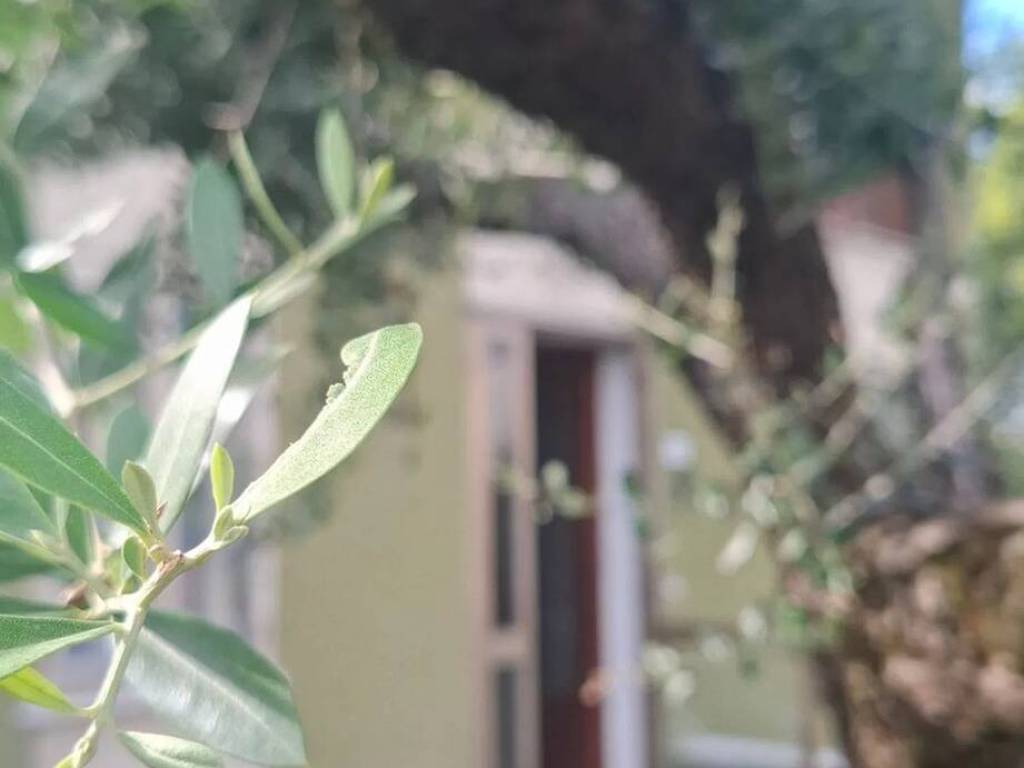 Villa a Treviso in Via Ortigara, 10 - Foto 2