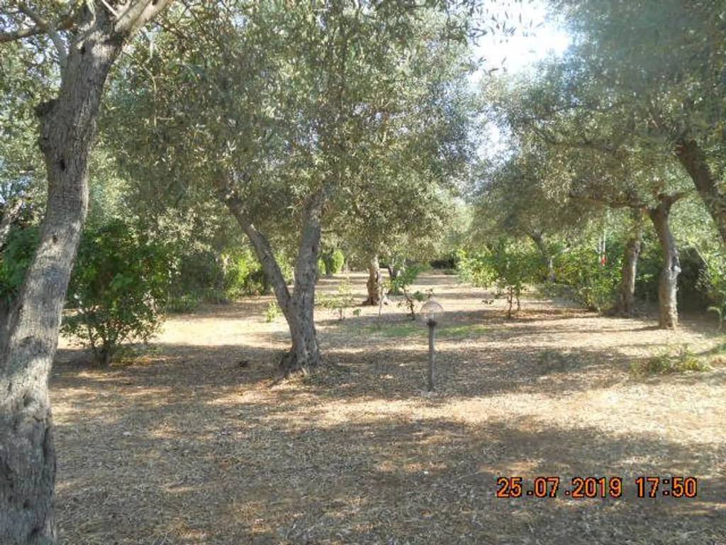 Villa a Alghero in S.P. Alghero-Bosa, Altezza Km.4 ,00 No Number - Foto 3