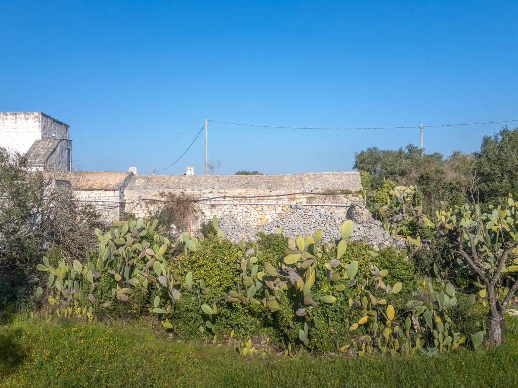 Rustico / casale a Ostuni - Foto 3