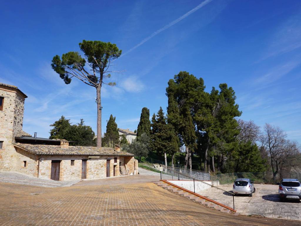 Rustico / casale a Canzano in Località San Pietro - Foto 4