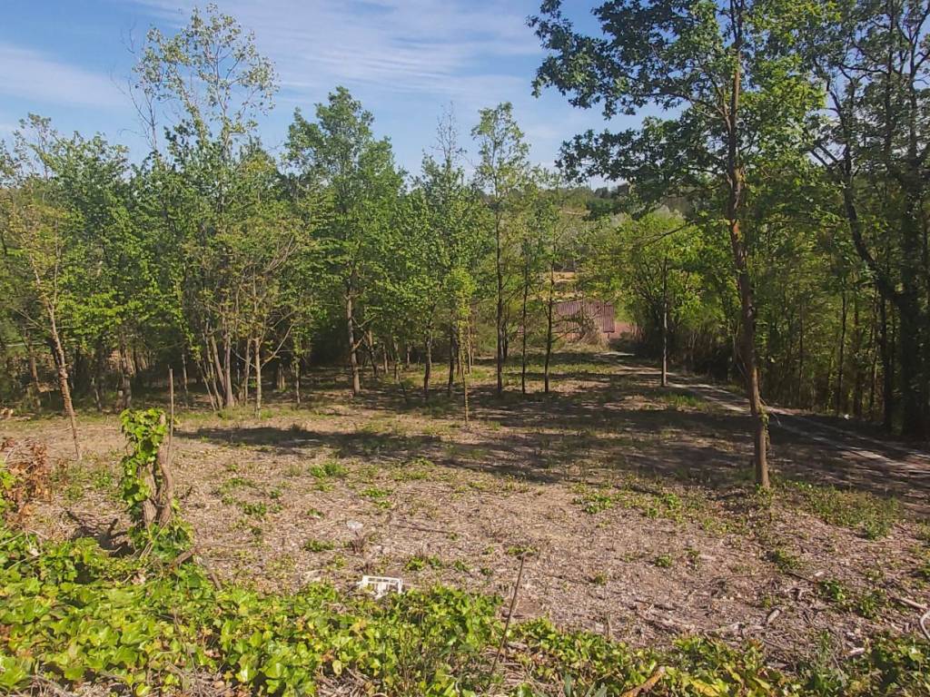 Villa a Fubine monferrato - Foto 3