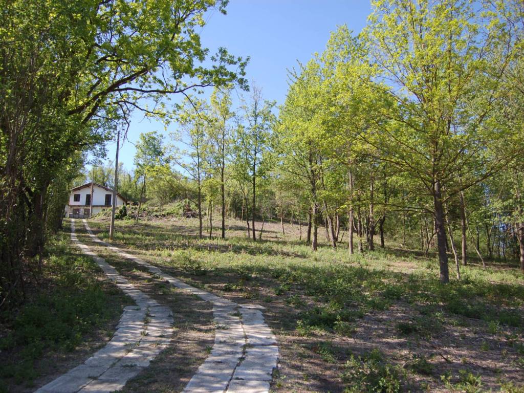 Villa a Fubine monferrato - Foto 5