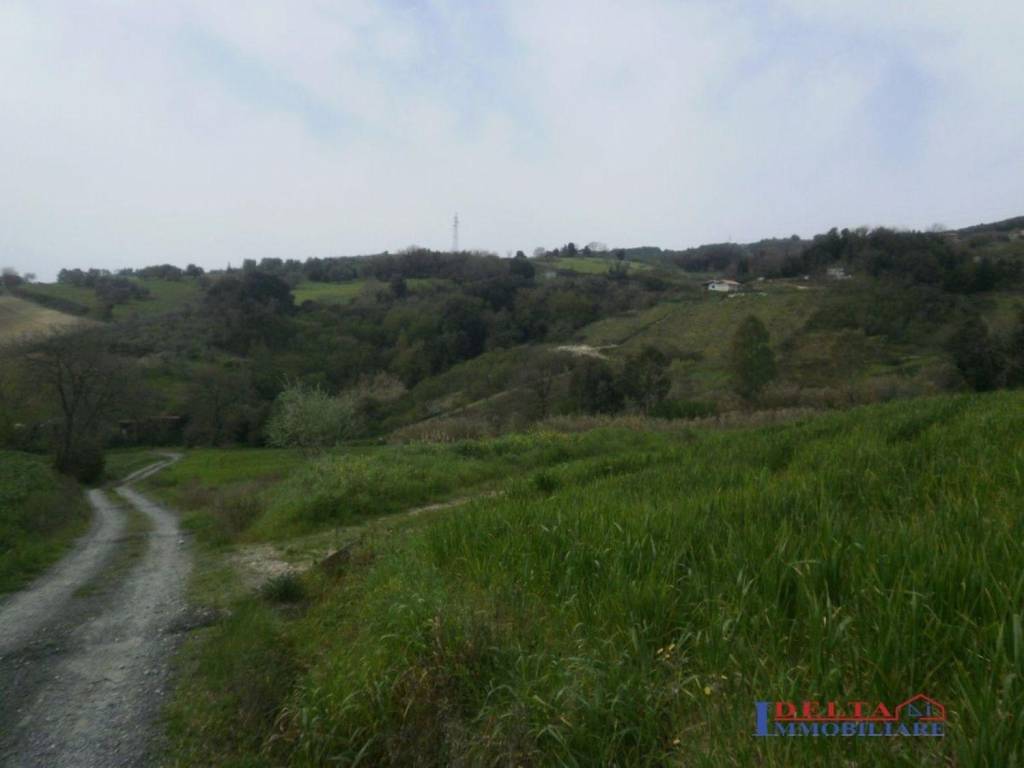 Terreno a Rosignano marittimo - Foto 2