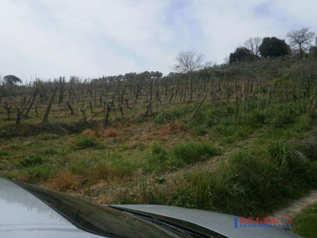 Terreno a Rosignano marittimo - Foto 5