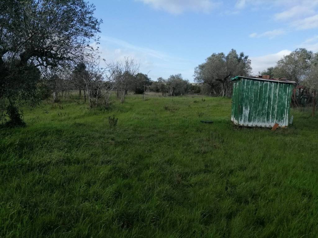 Terreno a Rosignano marittimo - Foto 2