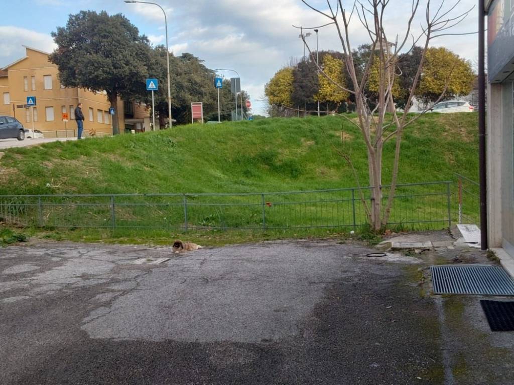 Immobile a Macerata - Foto 3