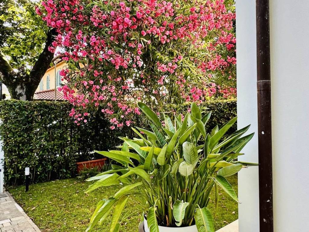 Villa a Forte dei marmi in Via Palestro - Foto 4