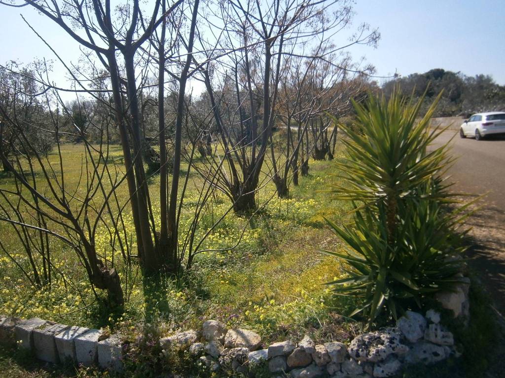 Terreno a Castrignano del capo in Strada Comunale Serra - Foto 2