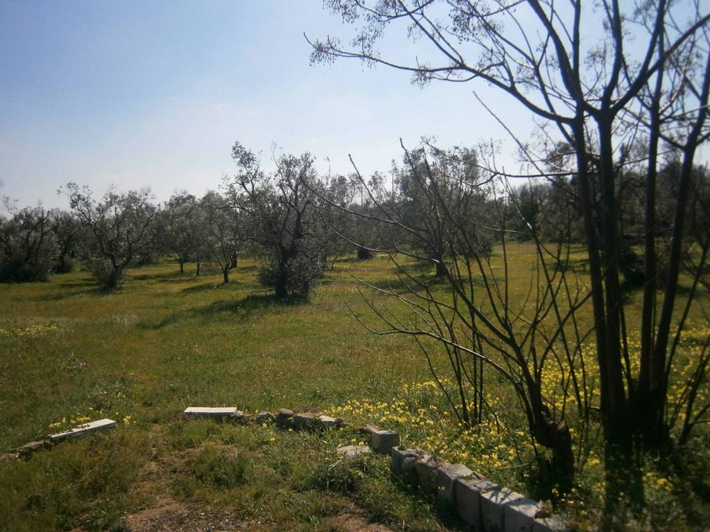 Terreno a Castrignano del capo in Strada Comunale Serra - Foto 3