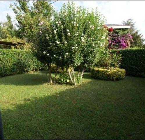 Villa a Ameglia - Foto 5