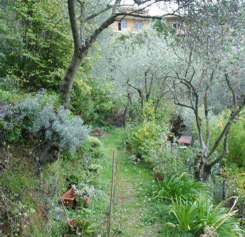 Appartamento a Lerici - Foto 4