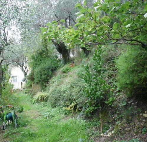 Appartamento a Lerici - Foto 5