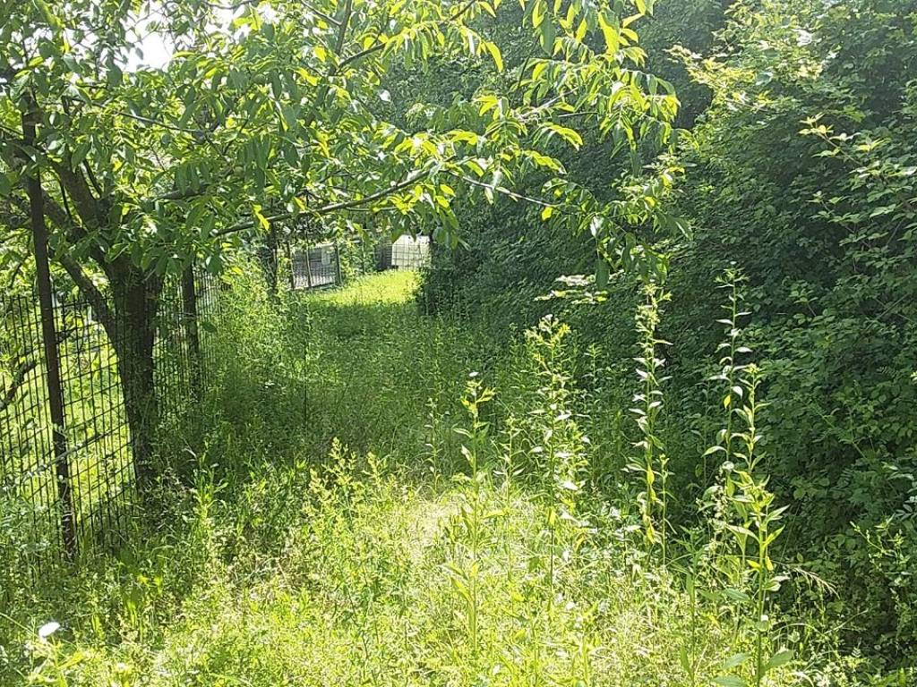 Rustico / casale a Bobbio - Foto 4