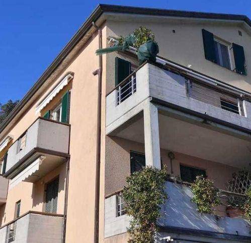 Appartamento a Ameglia - Foto 5