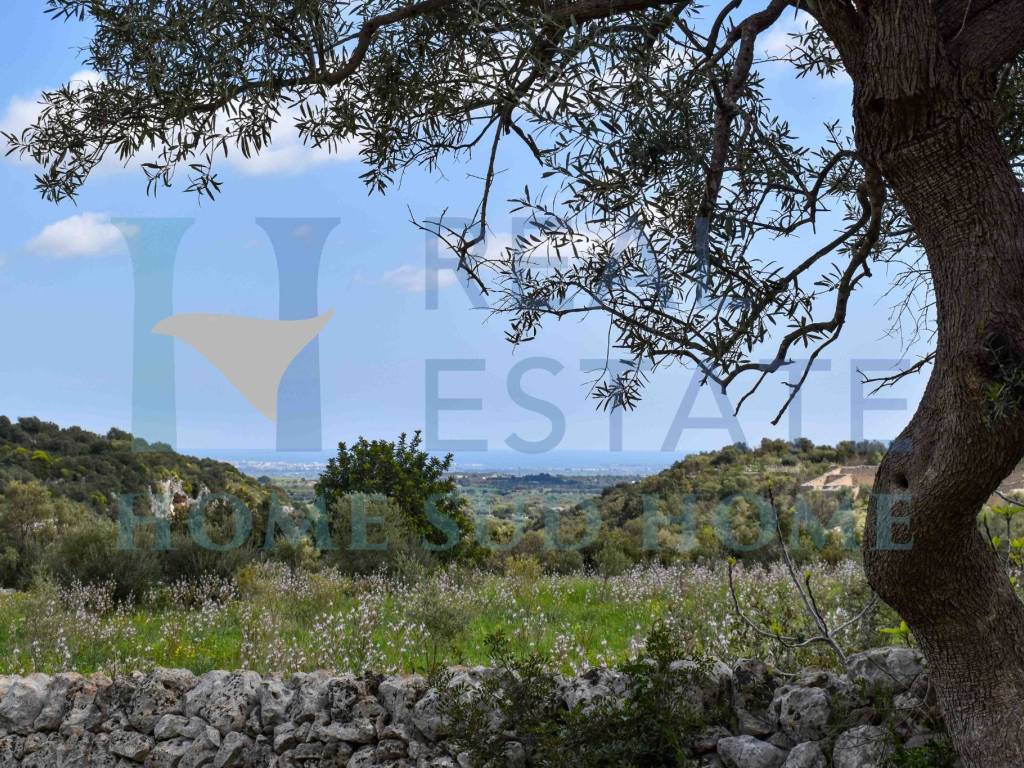 Rustico / casale a Noto in Via Tommaso Fazello, 228 - Foto 3