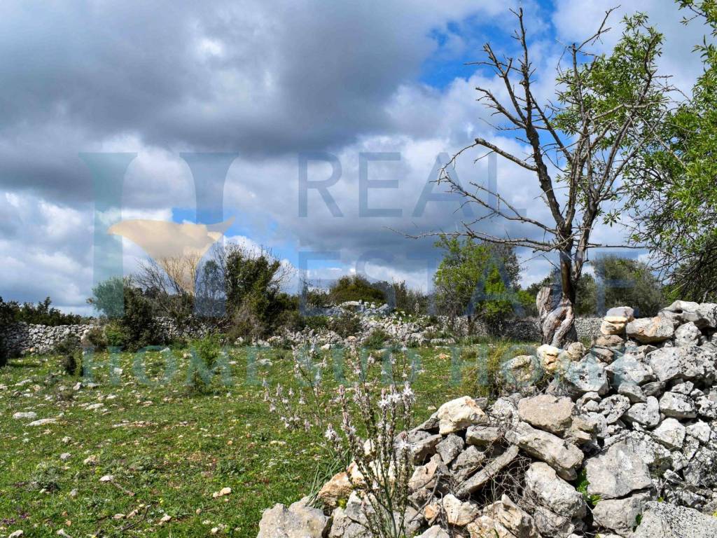 Rustico / casale a Noto in Via Tommaso Fazello, 228 - Foto 4