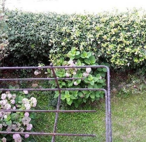 Villa a Ameglia - Foto 2