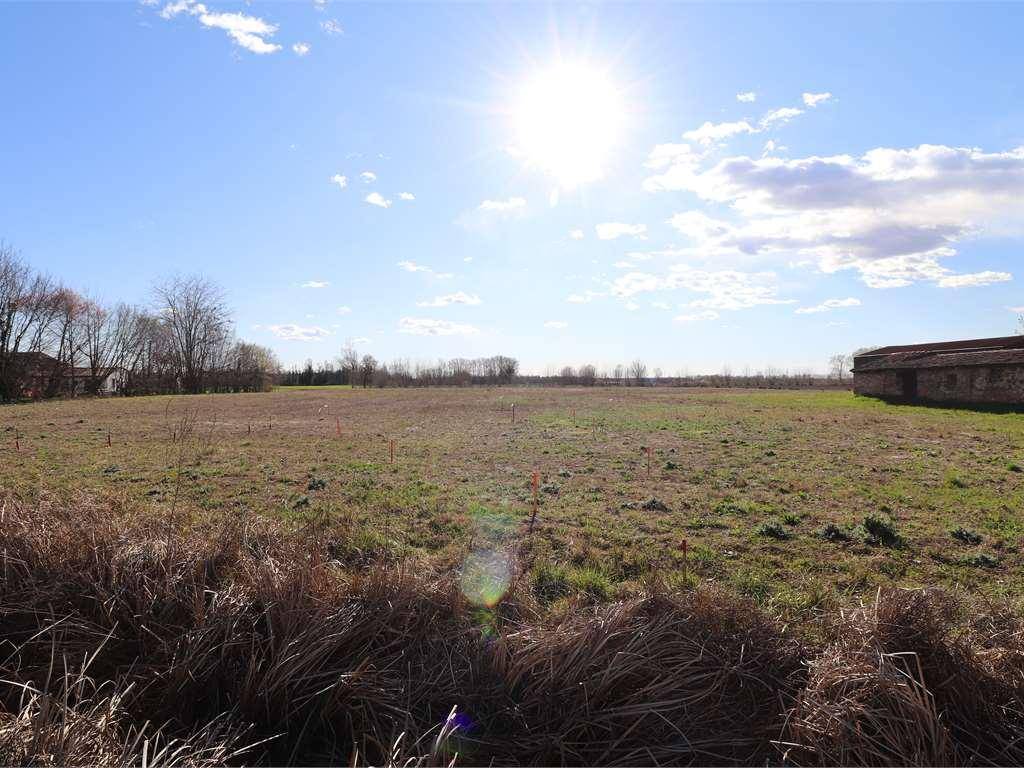 Terreno a San giorgio bigarello - Foto 3