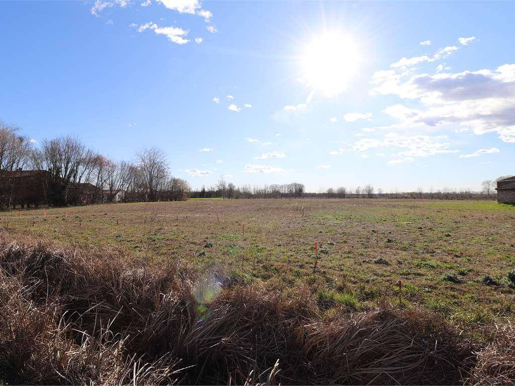 Terreno a San giorgio bigarello - Foto 4