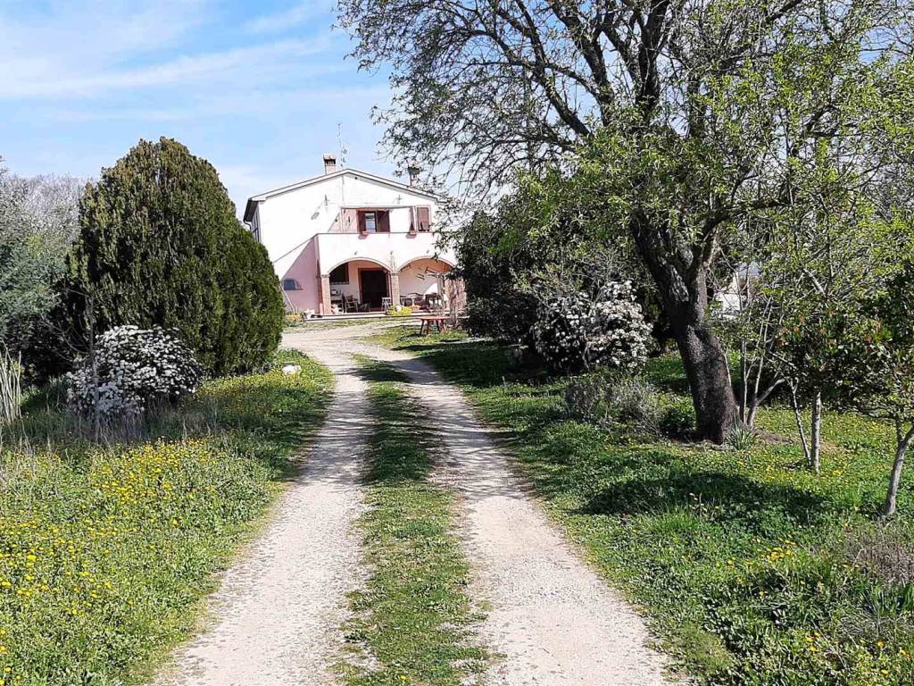 Rustico / casale a Magliano in toscana - Foto 2