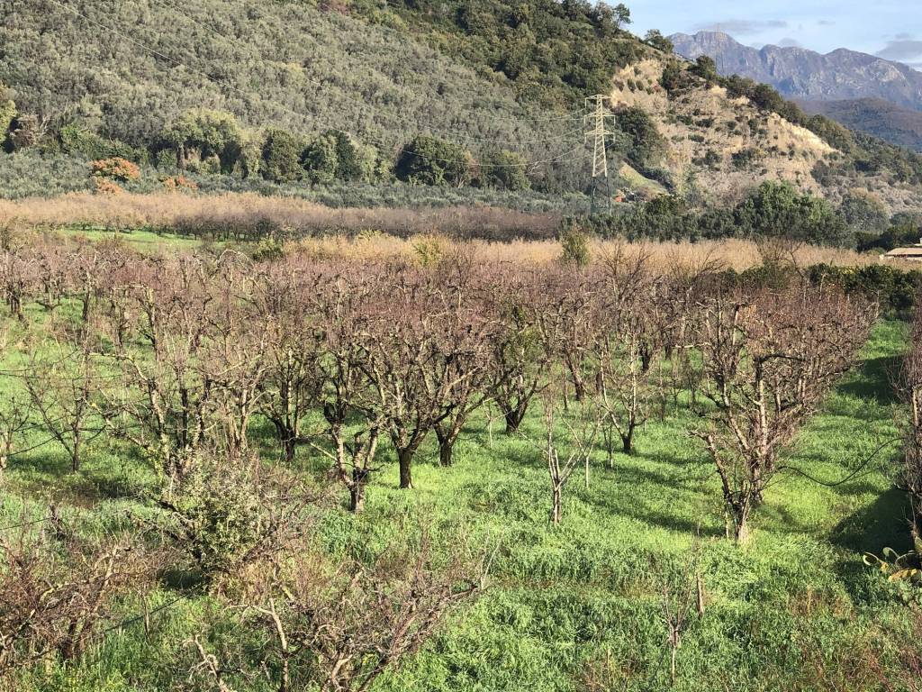 Terreno a Salerno in Via Ostaglio, 137 - Foto 2