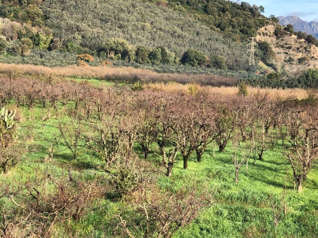 Terreno a Salerno in Via Ostaglio, 137 - Foto 4
