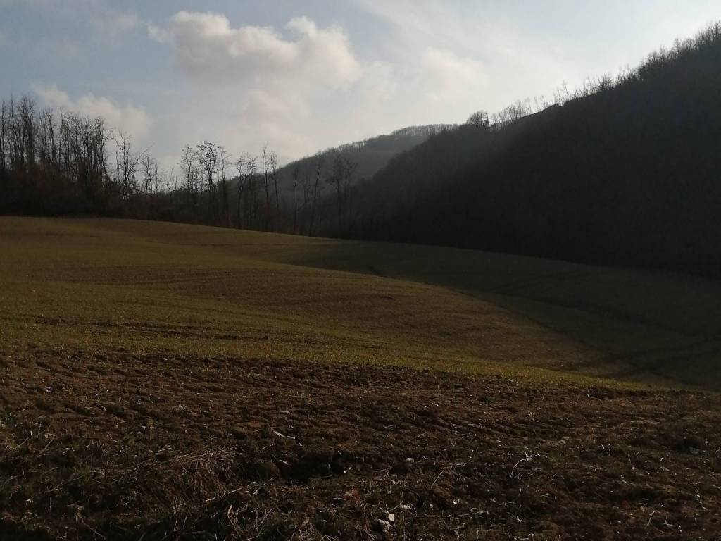 Rustico / casale a Camerana in Borgata Isole - Foto 4