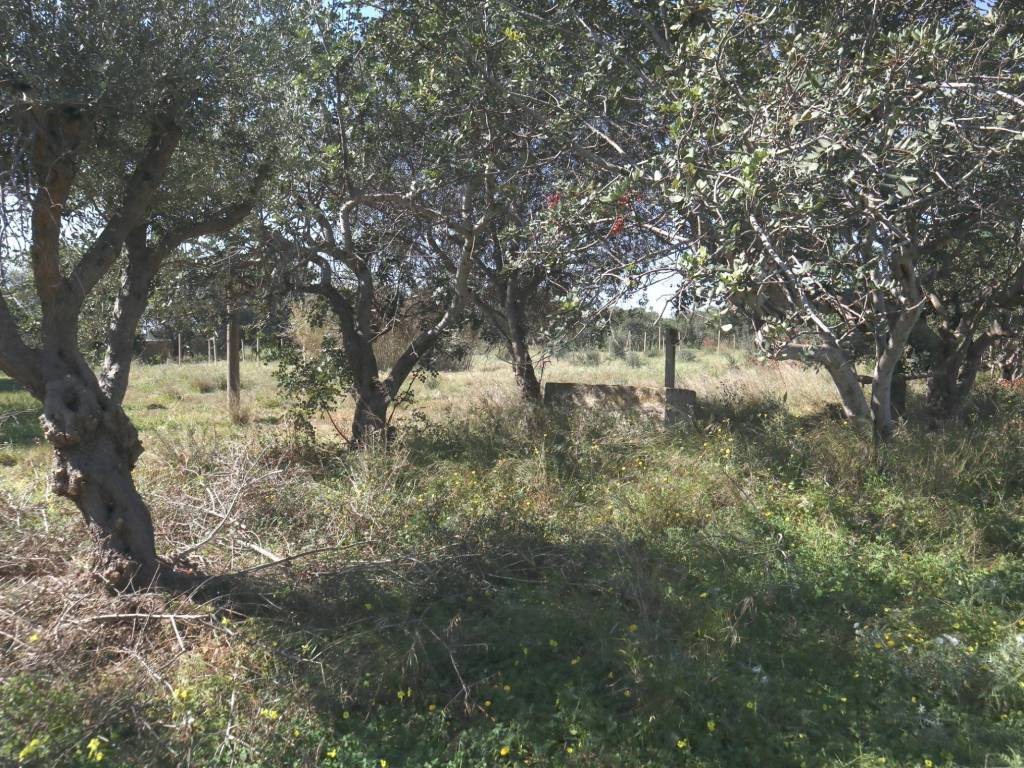 Terreno a Santa croce camerina in SC120 - Foto 2