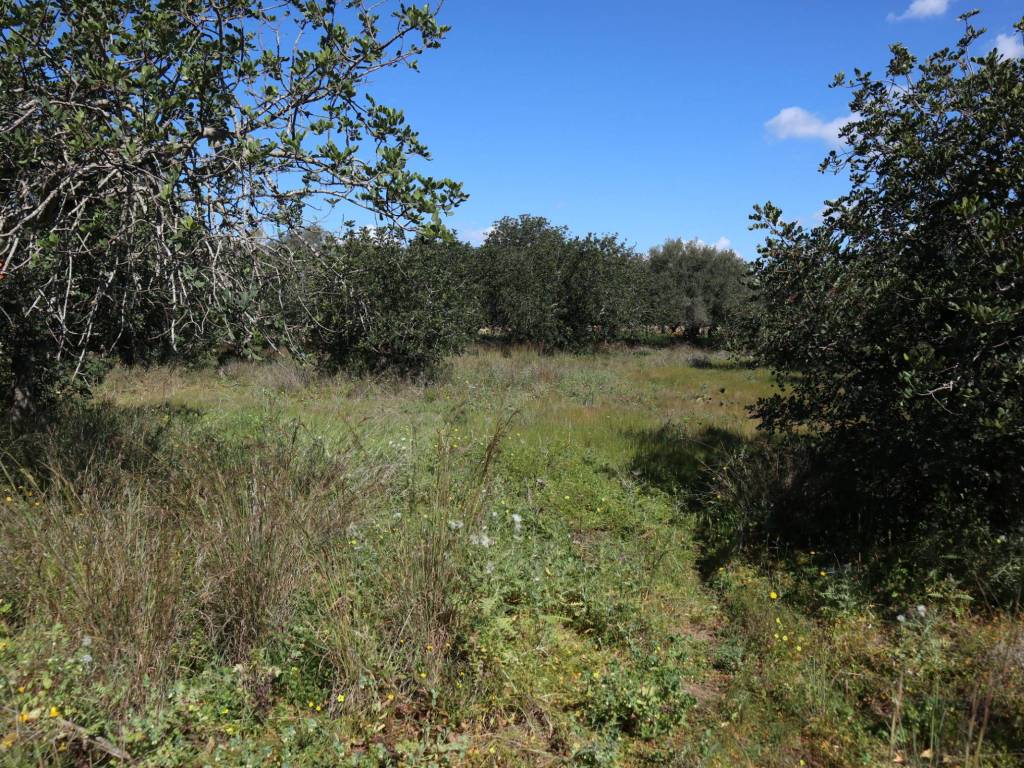 Terreno a Santa croce camerina in SC120 - Foto 4