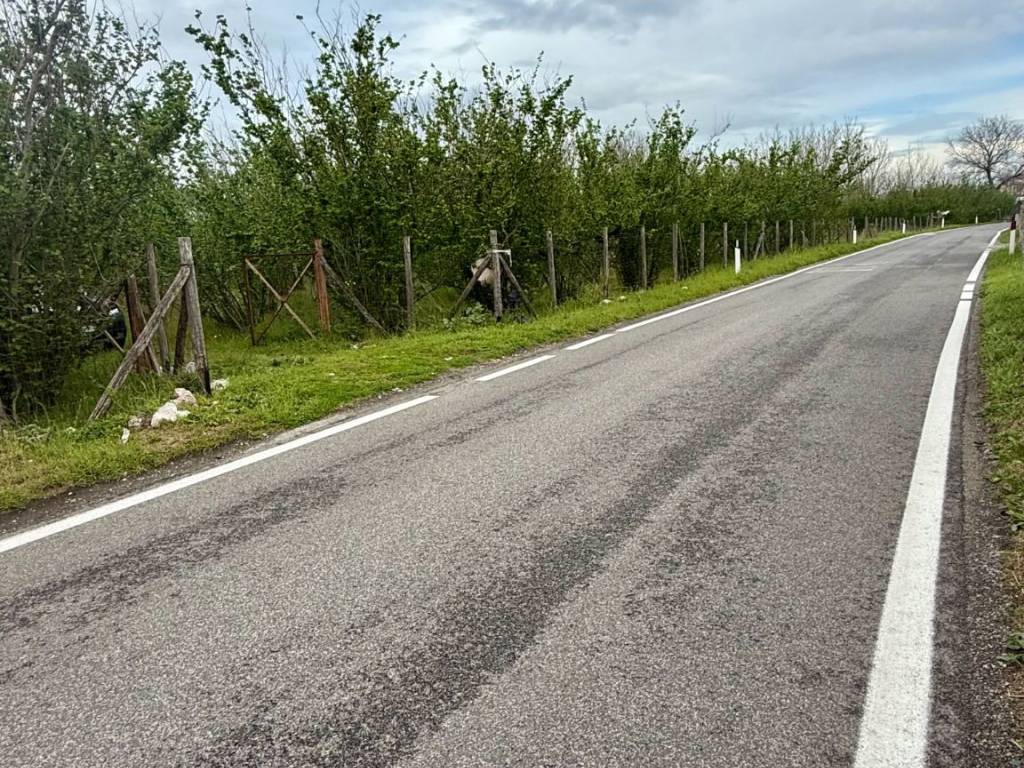 Terreno a Palma campania in CONTRADA FUSARO - Foto 2