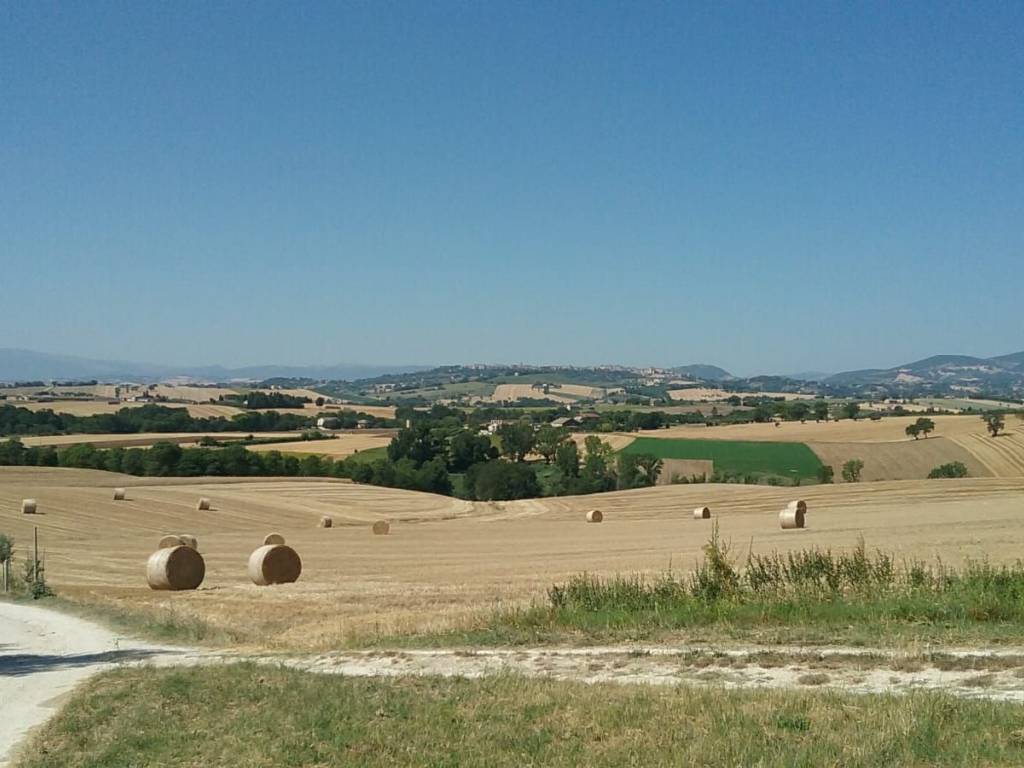 Rustico / casale a Treia - Foto 2