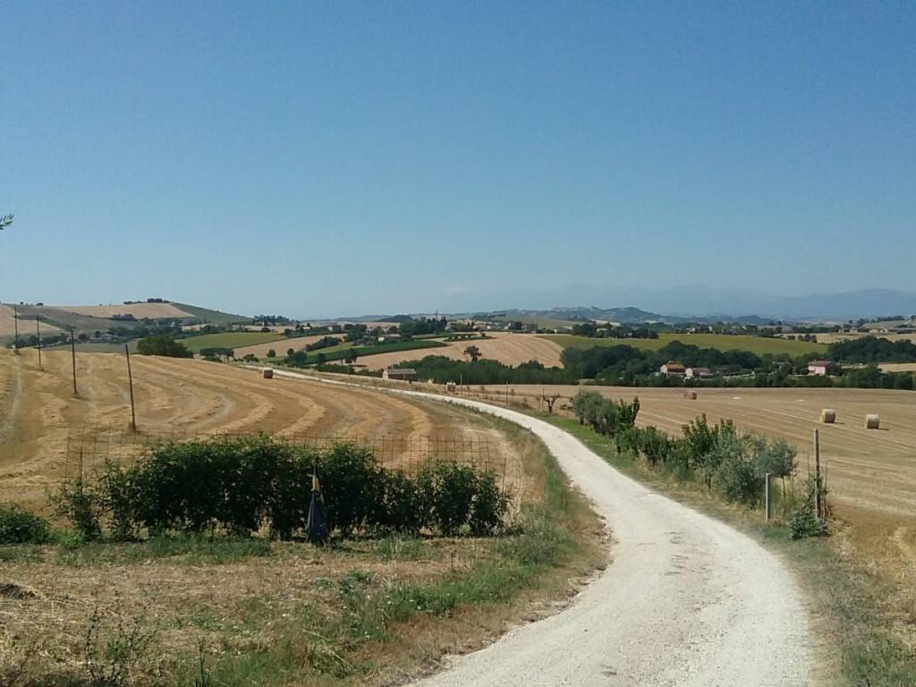 Rustico / casale a Treia - Foto 4