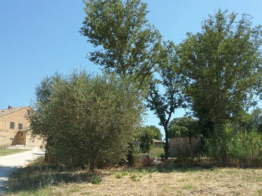 Rustico / casale a Treia - Foto 5