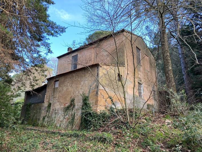 Rustico / casale a Castagneto carducci - Foto 5