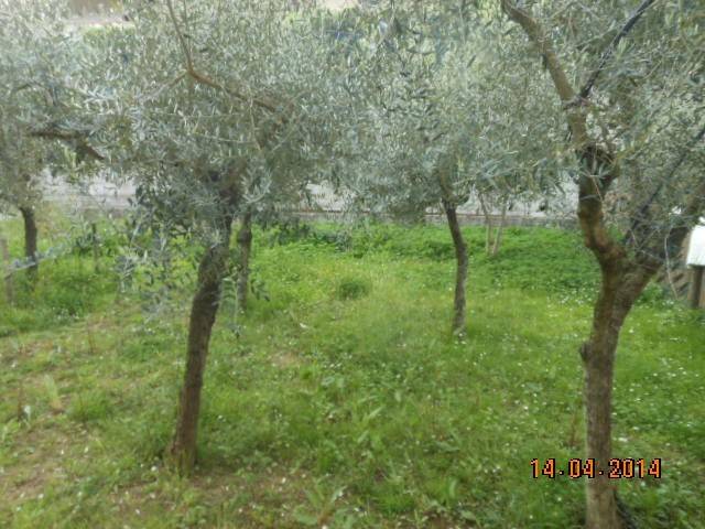Appartamento a Massarosa - Foto 3