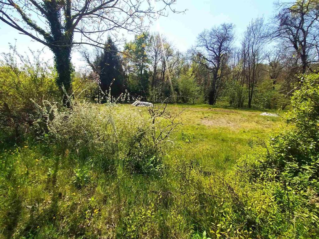 Terreno a Invorio - Foto 3