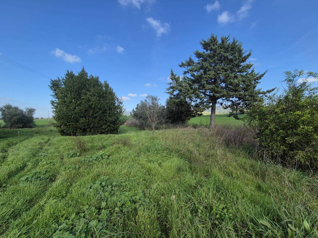 Rustico / casale a Orbetello in Strada Statale Aurelia, 272 - Foto 4