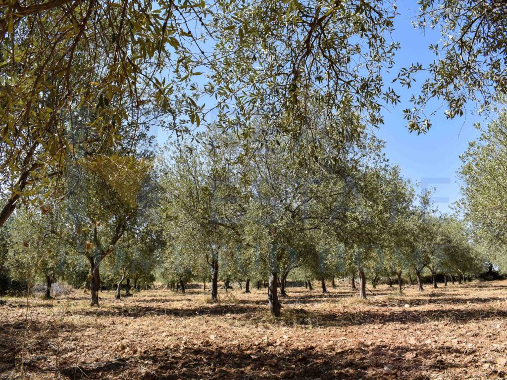 Villa a Noto in Via Tommaso Fazello, 228 - Foto 2