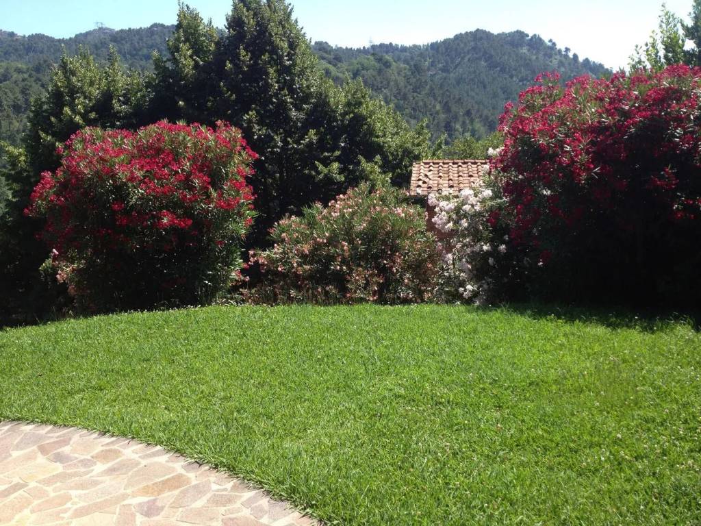 Villa a Camaiore in Via Di Contra S.N.C. - Foto 4
