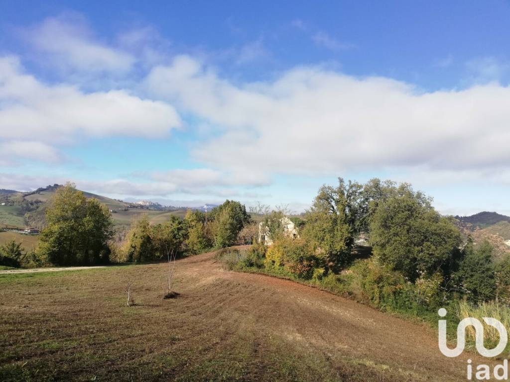 Rustico / casale a Rotella in Contrada Capitania - Foto 2