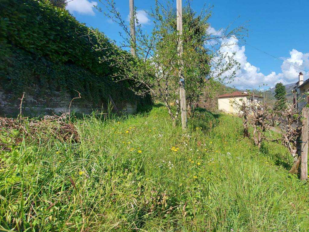 Casa indipendente a Borgo a mozzano - Foto 2